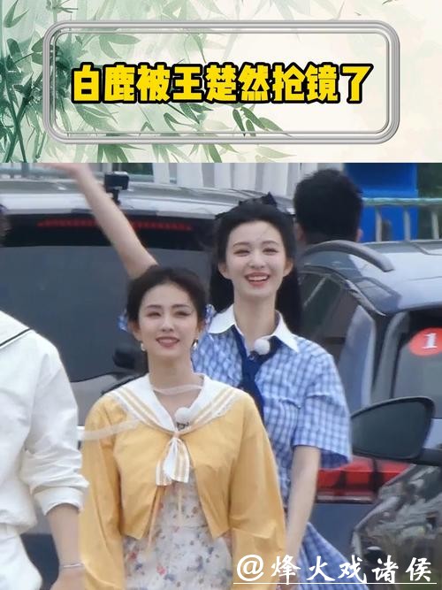 女演员长相有多重要？把白鹿和王楚然放在一起，差别很明显
